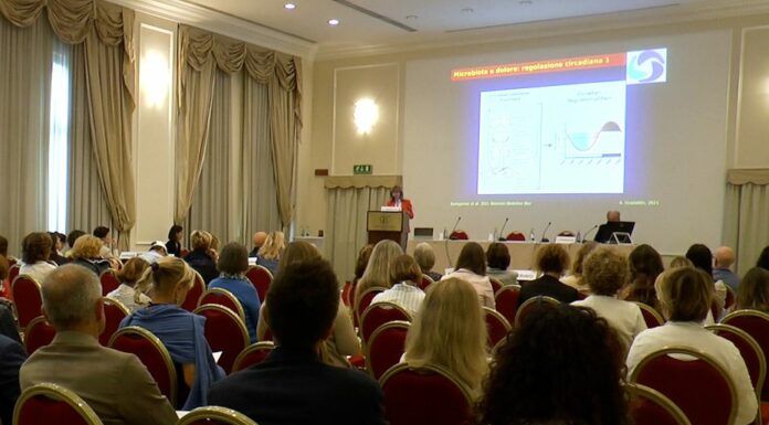 Il microbiota, vero regista della salute umana