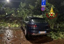 Maltempo a Milano, allagamenti e alberi caduti. 30 interventi dei Vvf