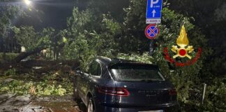 Maltempo a Milano, allagamenti e alberi caduti. 30 interventi dei Vvf