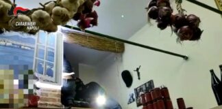 Camorra, blitz a Napoli contro il clan Sorianiello