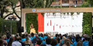 Turismo enogastronomico leva strategica di sostenibilità ma serve regia