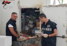 Locali al setaccio per carenze igieniche, sanzioni per 165 mila euro