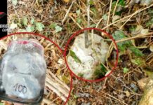 Sgominate due bande di spacciatori di cocaina nel cuneese