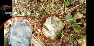 Sgominate due bande di spacciatori di cocaina nel cuneese