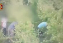 Cinque stranieri arrestati a Cagliari per sfruttamento del lavoro nero