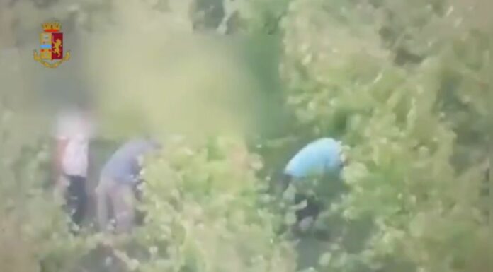 Cinque stranieri arrestati a Cagliari per sfruttamento del lavoro nero