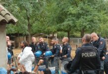 Peste suina, irruzione Polizia e Ast a rifugio Pavia. Abbattuti maiali