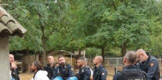 Peste suina, irruzione Polizia e Ast a rifugio Pavia. Abbattuti maiali