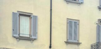 Monza, con morso stacca pezzo orecchio a padrone cane. Indagato 20enne