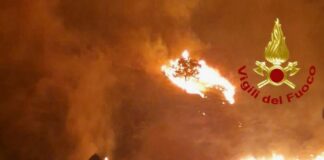 La Sicilia continua a bruciare, notte di incendi nel Palermitano