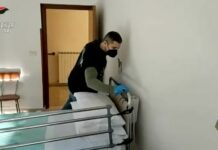 Bologna, misure cautelari a 12 operatori Rsd per maltrattamenti