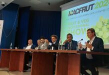 Puglia Regione partner di Macfrut 2024, uva da tavola prodotto simbolo
