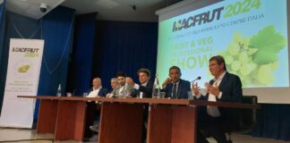 Puglia Regione partner di Macfrut 2024, uva da tavola prodotto simbolo