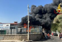 Ancora incendi a Palermo, tre canadair in azione in provincia