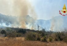 Incendi in Sicilia, ancora roghi e tour de force dei Vigili del Fuoco