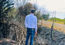 Incendi in Calabria, danneggiata anche la casa di Occhiuto