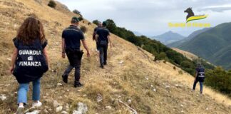 Maxi truffa all’Ue per “pascoli fantasma”, arresti e sequestri