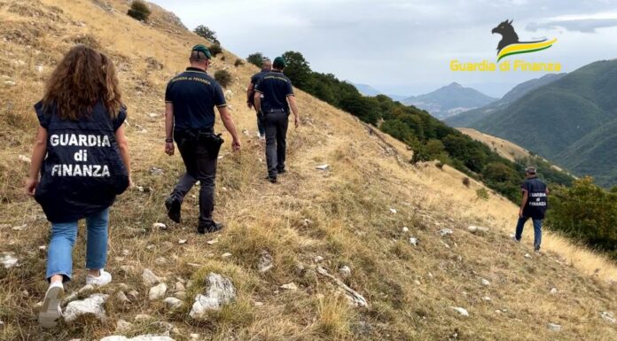 Maxi truffa all’Ue per “pascoli fantasma”, arresti e sequestri