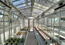 All’Università di Pavia GreenTechHouse, una nuova serra sperimentale