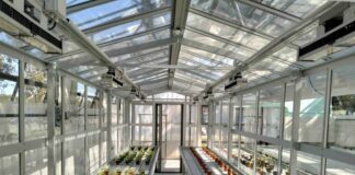 All’Università di Pavia GreenTechHouse, una nuova serra sperimentale