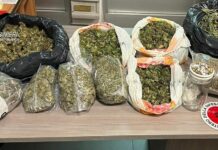 Nascondeva in casa 10 chili di marijuana, arrestato a Reggio Calabria