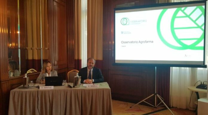 Osservatorio Agrofarma, nel 99,3% di frutta e verdura residui sicuri