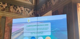 Salicoltura, Satta “Grazie a saline Sardegna ancora protagonista”