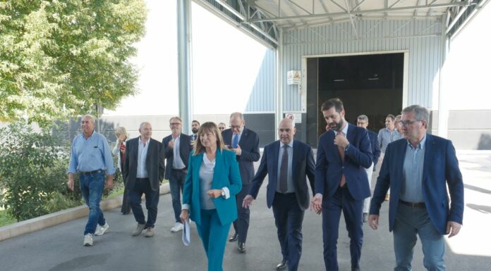 Il futuro del tabacco umbro passa attraverso sostenibilità e innovazione