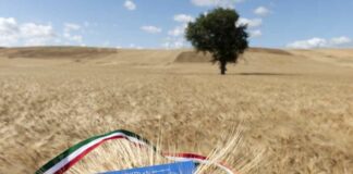 L’impegno di Barilla per valorizzare l’accesso al cibo