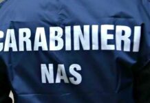 Nas sequestra 4 quintali di sushi nel reggino