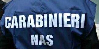 Nas sequestra 4 quintali di sushi nel reggino