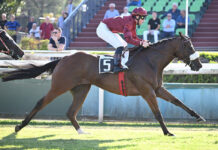 Allegri trionfa a Capannelle, al suo Lyricus il premio Fastigio