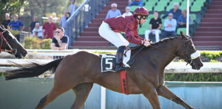 Allegri trionfa a Capannelle, al suo Lyricus il premio Fastigio