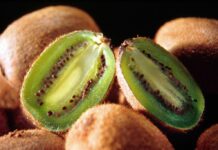 Moria del Kiwi, Righini “Già attivi per richiesta stato di calamità”