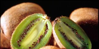 Moria del Kiwi, Righini “Già attivi per richiesta stato di calamità”