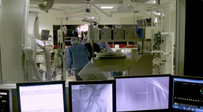 All’Ismett trapianti di rene fra pazienti con gruppi sanguigni diversi