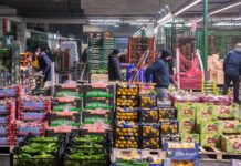 Ortofrutta, Confagricoltura “Misure tampone non sono sufficienti”