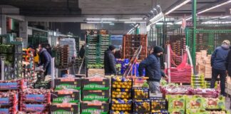 Ortofrutta, Confagricoltura “Misure tampone non sono sufficienti”