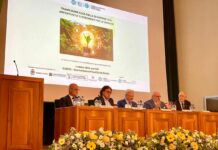 Friuli, Bini “Regione vicina alle imprese per la transizione energetica”