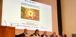 Friuli, Bini “Regione vicina alle imprese per la transizione energetica”