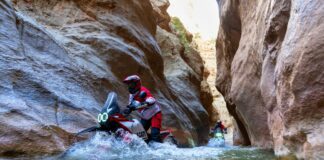 Ducati DesertX Rally, per gli amanti dell’aventura