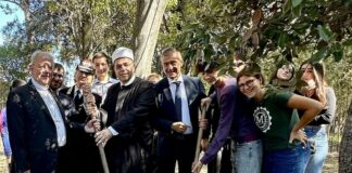 Celebrata a Roma la 23^ Festa degli Alberi nelle Scuole