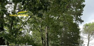 Scoperti 300 immobili non accatastati in area turistica nel Varesotto