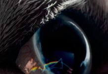 Roger Waters pubblica “The Dark Side of the Moon Redux”