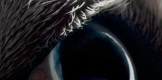 Roger Waters pubblica “The Dark Side of the Moon Redux”