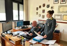 Illeciti contro il Reddito di Cittadinanza, 43 indagati nel Salento