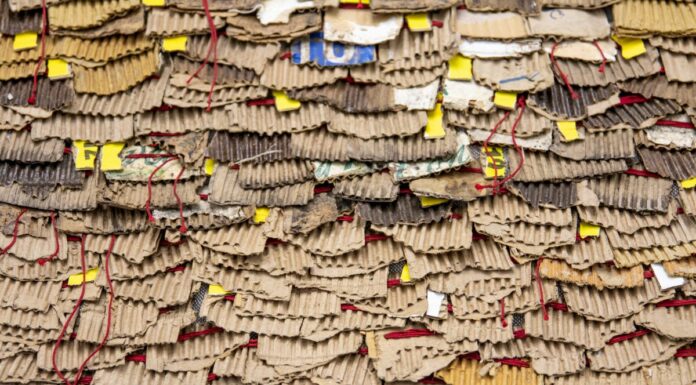 Indagine sulla sostenibilità, Bayer al primo posto secondo i farmacisti