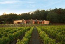 Intesa Sanpaolo e Marchesi Antinori insieme per Made in Italy nel mondo