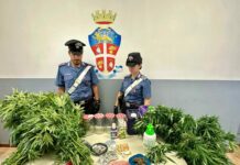 Sequestrati 2 chili di droga a Roma, 16 persone arrestate dai carabinieri