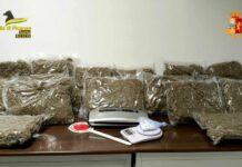 Gdf di Trento smantella traffico di droga, 46 misure cautelari